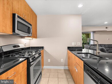 1134 Cove Rd unit 301, Annapolis, MD 21403 - photo 5