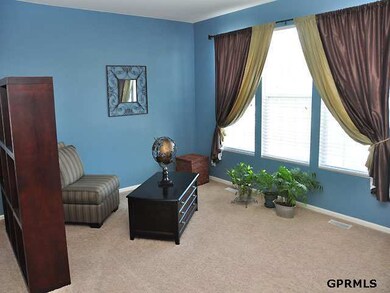 2310 S Mineral Dr, Papillion, NE 68046 - photo 4