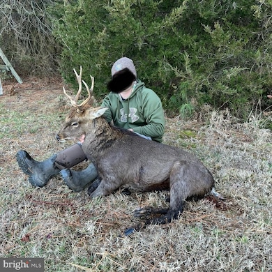 0 Callaway Wharf Rd, Galestown, MD 19973 - photo 3
