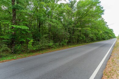 5.31 ac xx John Nix Rd, Crestview, FL 32539 - photo 4