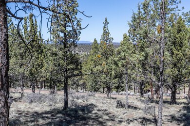 Lot 51 North Rim