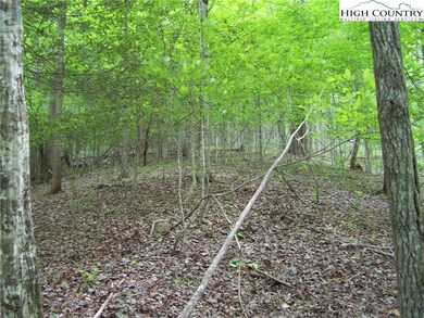 Upper Tract Building Site Area