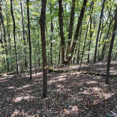 4316 Danville Rd SW, Decatur, AL 35603 - photo 7