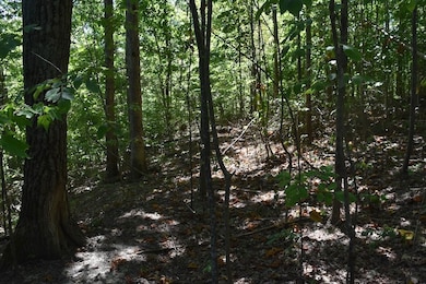 0 Sam Baughman Rd unit LotWP001 24575594, Stanford, KY 40484 - photo 5