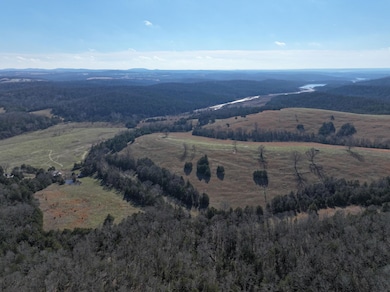 000 Hwy 160, Gainesville, MO 65655 - photo 3