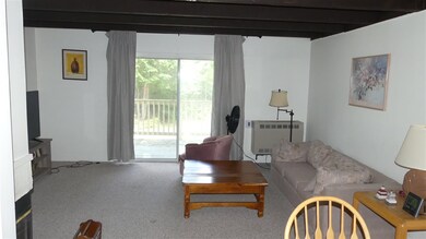 3 Fox Meadow Ln unit 3C, Dover, VT 05356 - photo 4
