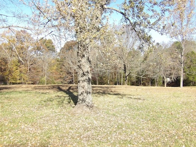 470 Powers Blvd, Waverly, TN 37185 - photo 2