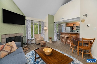 755 Laurelwood Condos, Wintergreen Resort, VA 22967 - photo 4