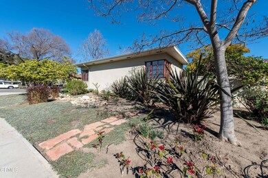 2650_Poli_20220202-4