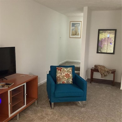 Living area featuring new carpet.