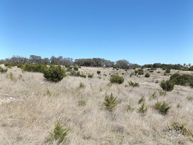1651 Sugar Creek Trail unit 15, Fredericksburg, TX 78624 - photo 3