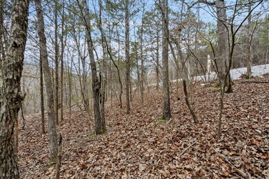 Lot 10 Greenbrier Dr, Kimberling City, MO 65686 - photo 5
