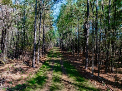 0 Flint Hill Rd unit 23523957, Ridgeway, SC 29130 - photo 5