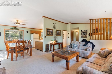 5580 Moosa Rd, Cascade, CO 80809 - photo 7