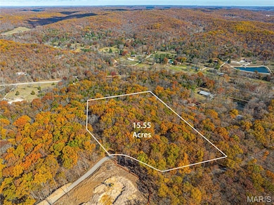 19005 Old Wild Turkey Ln, Wildwood, MO 63069 - photo 3