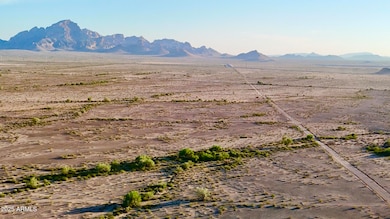 dji_fly_20251114_164630_0014_17631785770