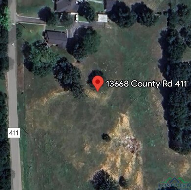 13668 Cr 411 unit Lot 2, Tyler, TX 75706 - photo 7