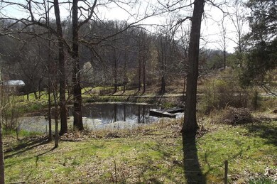 Frog Pond with good water
