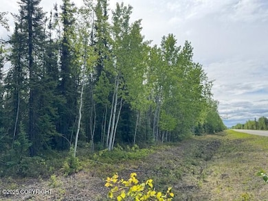 Mi 285 Parks Hwy, Nenana, AK 99744 - photo 5