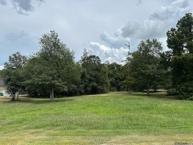 15850 Cypress Point Ln, French Settlement, LA 70733 - photo 3