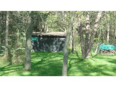 Other Storage Shed in back yard
