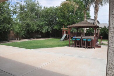 backyard 4