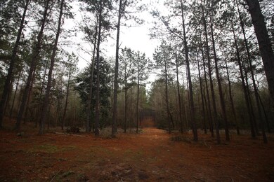 0 Hines Rd, Laurel, MS 39443 - photo 7