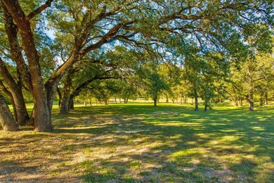890 N Bend Rd, Weatherford, TX 76085 - photo 6