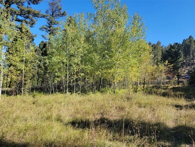 323 Trails End Ln, Helmville, MT 59843 - photo 5