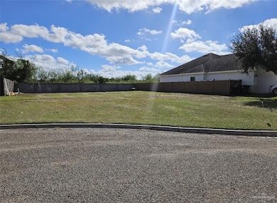 315 N 18th St, Hidalgo, TX 78557 - photo 5