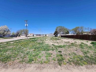 115 Niles St, Gibbon, NE 68840 - photo 2