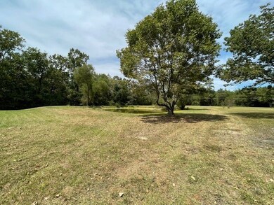 0 Harley Golden Rd, Lufkin, TX 75901 - photo 6