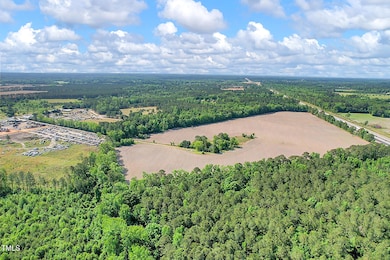 0 U S 301, Saint Pauls, NC 28384 - photo 5