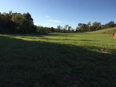 2350 Union Mill Rd, Nicholasville, KY 40356 - photo 2