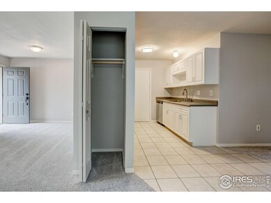 725 Columbine Dr, Windsor, CO 80550 - photo 6