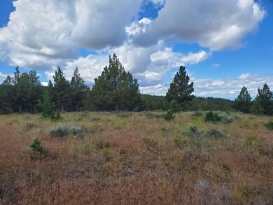 0 SE Dead End Street Tl5674 St unit 220149584, Prineville, OR 97754 - photo 3