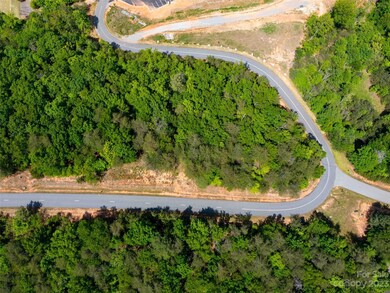 LOT 2012 Deep Gap Farm Rd E, Mill Spring, NC 28756 - photo 5