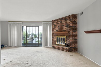 9199 North Rd unit E, Palos Hills, IL 60465 - photo 6