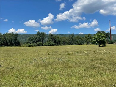 8734 Brown St, Slatington, PA 18080 - photo 3