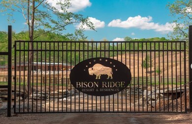 1020 Bison Ridge, Nashville, TN 37080 - photo 2