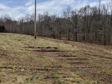 1580 Travis Boyd Rd, Mansfield, TN 38236 - photo 2