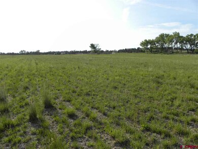 0 Road 23 unit 733628, Cortez, CO 81321 - photo 3