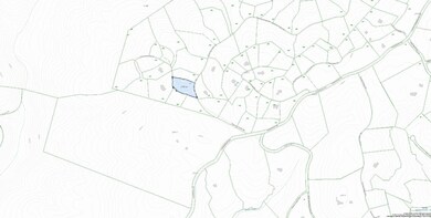 lot 297, topo, mid