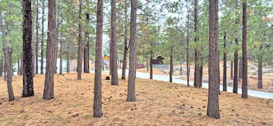 39731 Lakeview Dr, Big Bear Lake, CA 92315 - photo 4