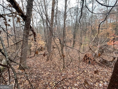 0 Nicklaus Rd unit LOT 851, Westminster, SC 29693 - photo 4