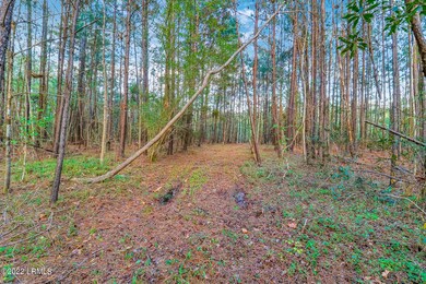 Boyd Property-29