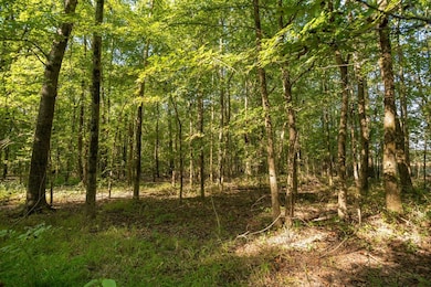 251 Highway Z, Poplar Bluff, MO 63901 - photo 3