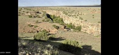 IMG_0459 2