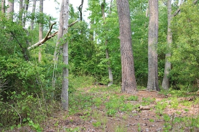 7300 Oak Ridge Place unit 5A, Chincoteague, VA 23336 - photo 4