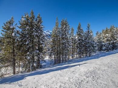 263 Little Wolf Rd, Big Sky, MT 59716 - photo 7
